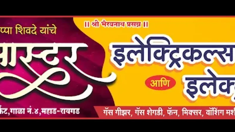 PROMASTER ELECTRONICS AND ELECTRICALS