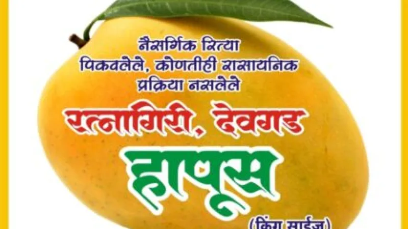 Mango King Pankaj